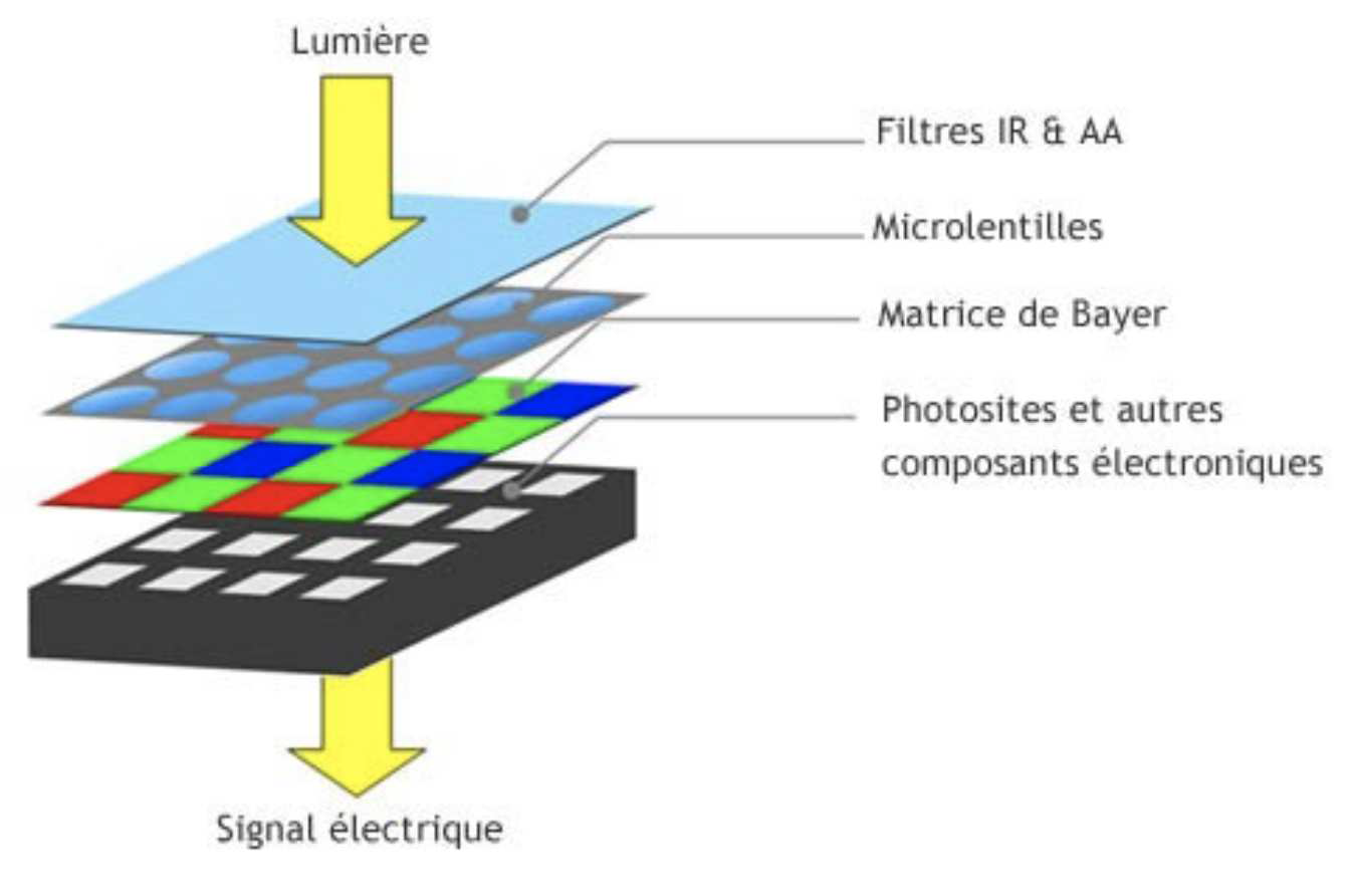 diagramme bayer